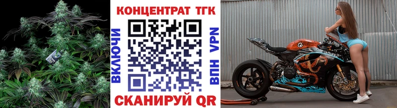 Купить где Городище ТГК THC oil